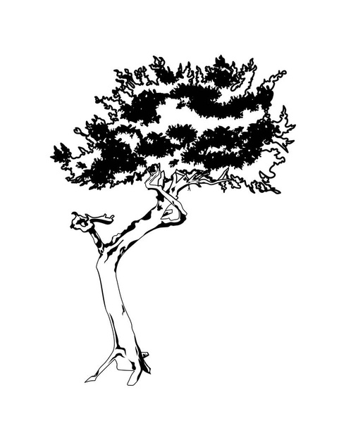 eco black tree garden forest botany wood plant branch vector design idea concept - Vector, afbeelding