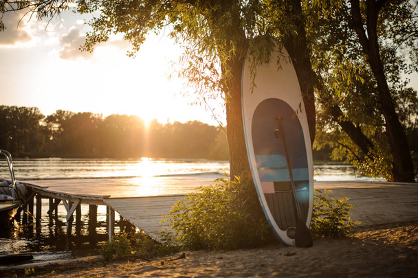 White and blue sup board with paddle standing near the tree on the lakeside on the beautiful background on the sunset - Fotó, kép