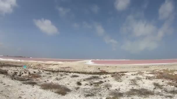 Видобуток солі на острові Bonaire, Голландська Антильські острови - Кадри, відео