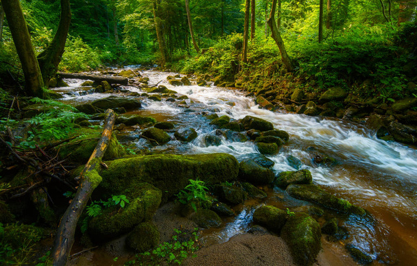 Hegyi-patak - patak áramlik át vastag zöld erdőben. Patak sűrű fa. Nagy sziklák folyó ágyban bukott fatörzsek szereplő moss, esőerdő Európában, Bistriski Vintgar, Szlovénia - Fotó, kép
