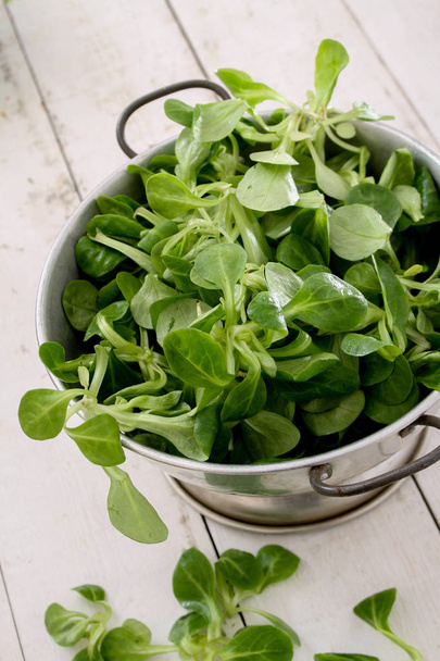 preparing fresh salad leaves - Photo, Image