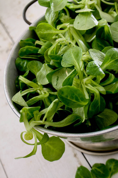 frische gesunde Salatblätter - Foto, Bild
