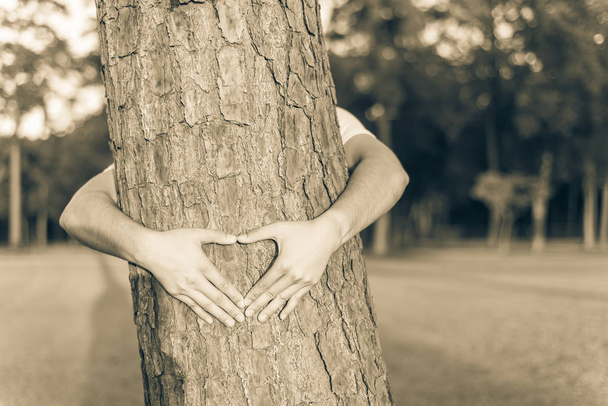 ビンテージ トーン男性手の松の木の幹周りのハートの形を作るします。暖かい光、ソフト フォーカス公園/森林風景の背景。人間の手の抱擁は、ツリーをラップします。人と自然のお問い合わせエコロジー コンセプト - 写真・画像
