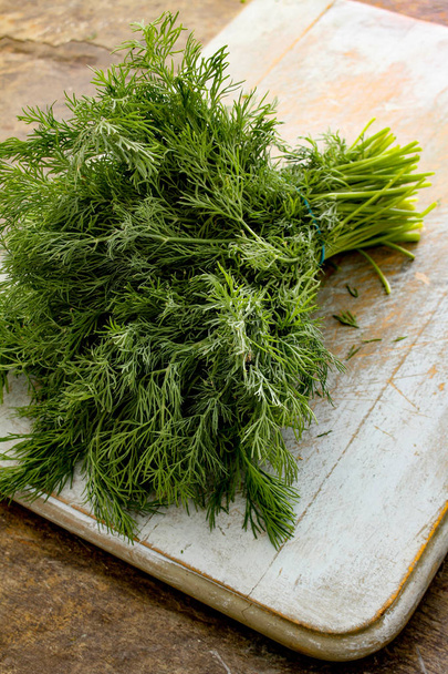 fresh dill herb in bunch - Foto, immagini