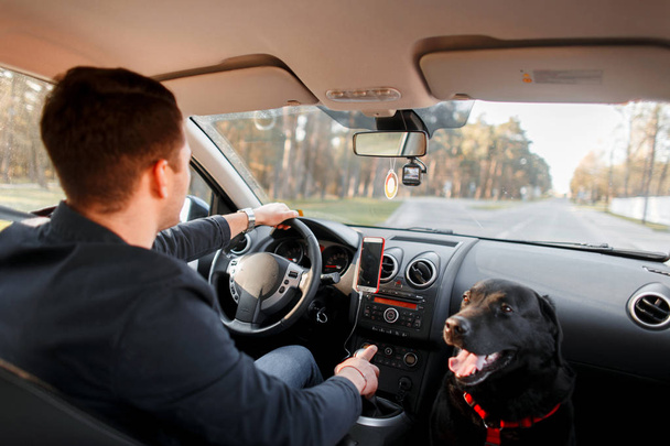 Νεαρός άνδρας με ένα σκυλί είναι η κινητήρια δύναμη σε ένα αυτοκίνητο - Φωτογραφία, εικόνα