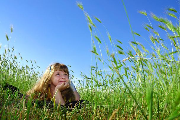 letní sen v trávě - Fotografie, Obrázek