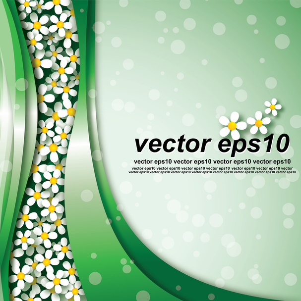 Floral background. Cammomiles. (vector eps10, CMYK) - Vector, Image