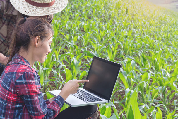 Два молодых фермера исследуют кукурузные растения и записывают их на ноутбук.
. - Фото, изображение