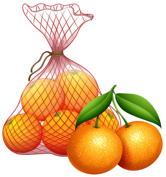 Una bolsa de ilustración de mandarina
 - Vector, Imagen