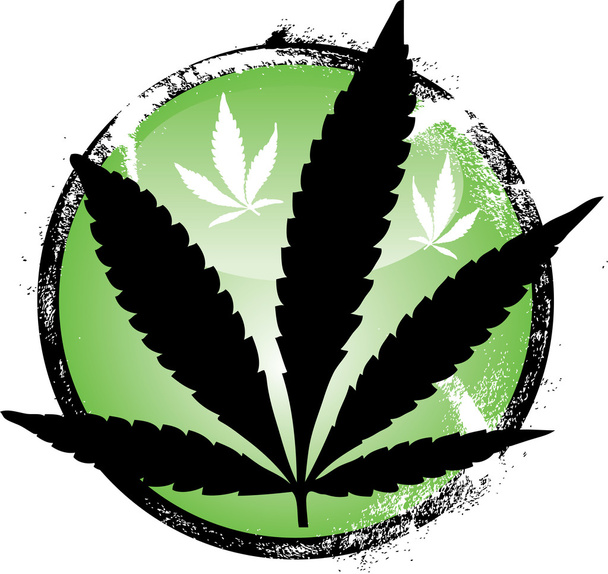marijuana leaf - Vector, Image