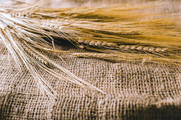 Wheat ears on brown sackcloth  - Foto, imagen