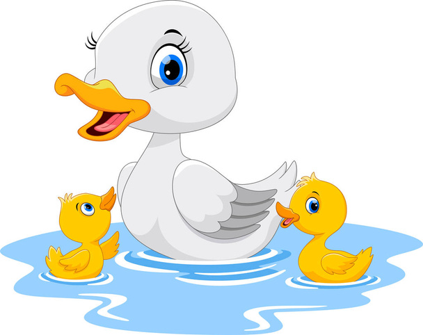 Kaczka matka pływa z jej dwóch little cute kaczki  - Wektor, obraz