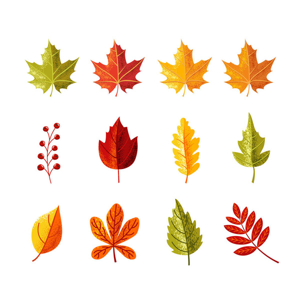 bunte Blätter mit Kornschatten für die Herbstsaison. kann für Editorial, Aufkleber, Icon und Promotion verwendet werden - Vektor, Bild