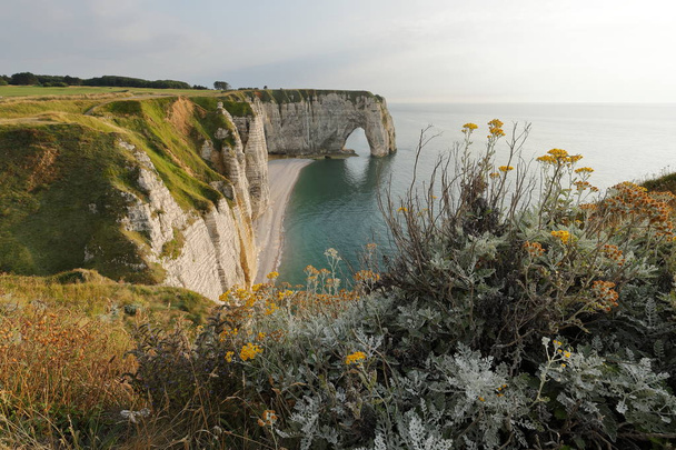 The cliffs at Etretat in Normandy - Foto, Imagem