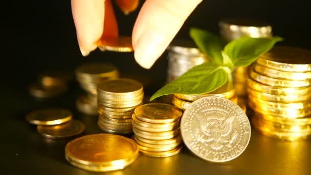 Zlaté mince a zelená listová kapusta na černém pozadí. Úspěch podnikání finance, hypoteční a bankovní pojmy - Záběry, video
