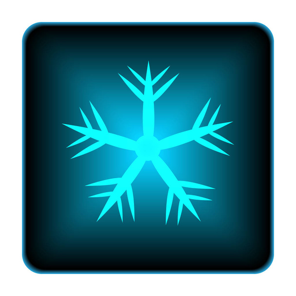 Icono de copo de nieve
 - Foto, imagen