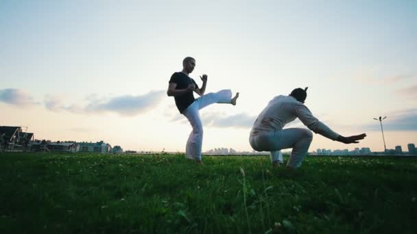 Kaksi urheilullista miestä esittelee capoeiraa ruohikolla.
 - Materiaali, video