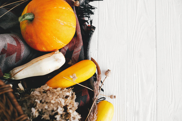 Ernte und hallo Herbst Konzept. Kürbis und Zucchini im Weidenkorb auf weißem Holzgrund, flach gelegt. Frohe Danksagung und Halloween. rustikale Bildfläche für Text - Foto, Bild
