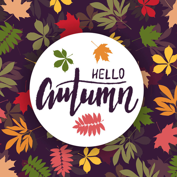 Background with multicolor autumn leaves. Vector illustration. Layout for discount labels and shopping. - Vektori, kuva