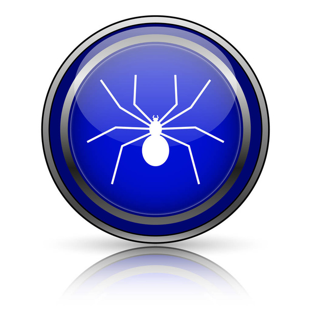 Spider icon - Photo, Image