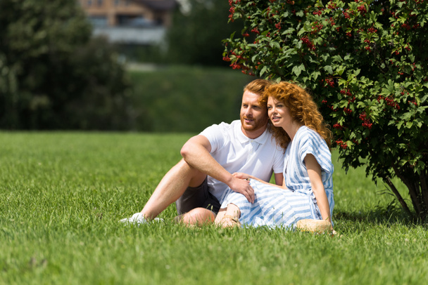 公園の芝生の上に座っている赤毛の幸せカップル - 写真・画像