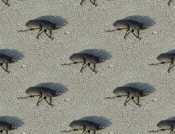 Patrón sin costuras con escarabajo menor (Dorcus parallelipipedus) sentado en el pavimento
 - Foto, Imagen