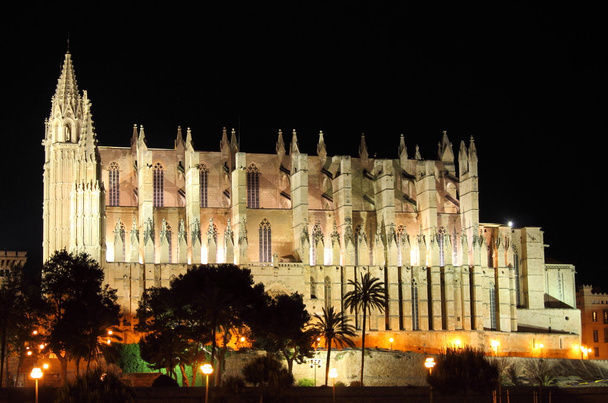 Katedra w Palma de mallorca w nocy - Zdjęcie, obraz