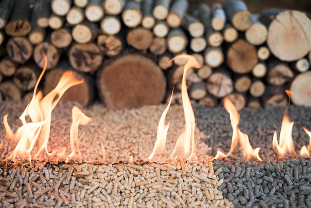 Dąb, sosna i słonecznika granulki w ogień infront stos drewna - Zdjęcie, obraz