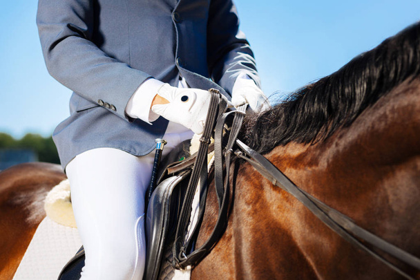 Young skillful equestrian wearing blue gloves sitting on horse - Foto, Imagen