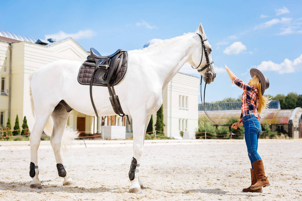 Stylish blonde-haired girl coming for touching white horse - Foto, immagini
