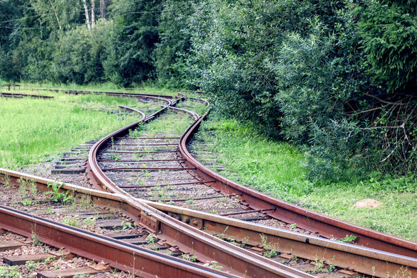 Railway rails in the forest against the background of trees, summer - Photo, Image