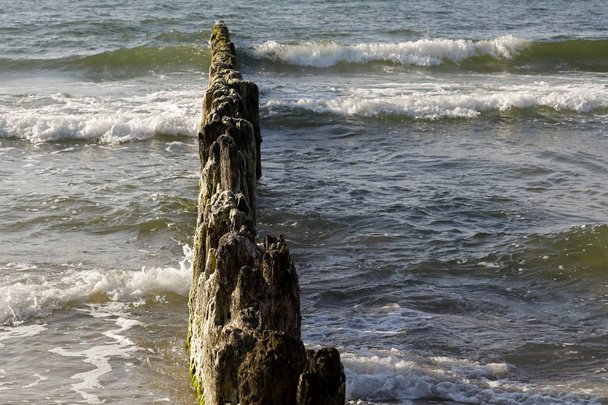 The beach is protected by a wooden groyne. This breakwater reduces the sinister impact of the sea waves in Kolobrzeg , Poland - Photo, Image