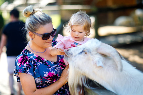 Adorable cute toddler girl and young mother feeding little goats and sheeps on a kids farm. Beautiful baby child petting animals in the zoo. woman and daughter together - Фото, изображение