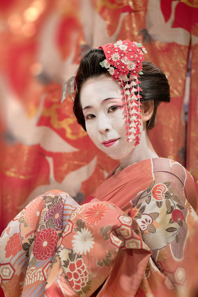 Japanese Maiko or geisha in red kimono coifed hair brooch with patterns of red and white plum blossoms - Photo, Image