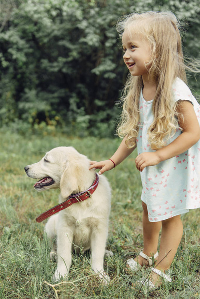 Little cute blond girl playing with her puppy golden retriever in summer in the park. - Foto, Bild