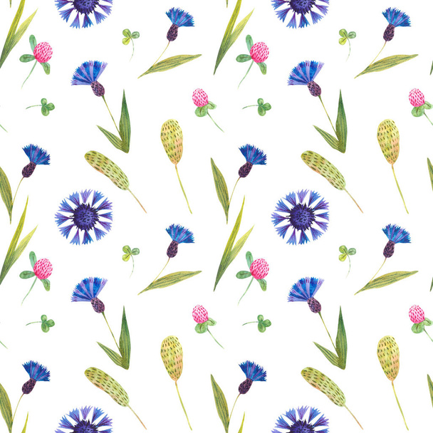 Watercolor seamless pattern with wild cornflower and clover - Foto, Imagem