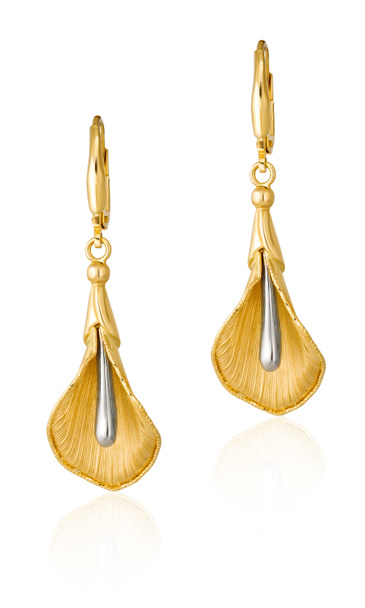 fashion women's earrings in gold. women's jewelery gift - Photo, Image