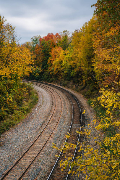 Fall color and railroad tracks in Remington, Baltimore, Maryland - Photo, image