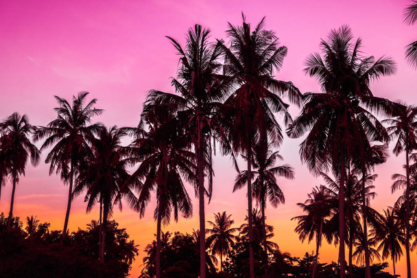 Gökyüzü günbatımı zaman - Vintage filtre tropikal doğa ve siluet Hindistan cevizi hurma ağacı ile güzel açık görünüm - Fotoğraf, Görsel
