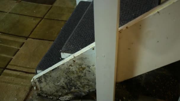 Camera pannen neer aan beschimmeld onveilige bodem van een trappenhuis - Video