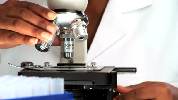 ιατρικό επαγγελματία που συνεργάζεται με ένα μικροσκόπιο - Πλάνα, βίντεο