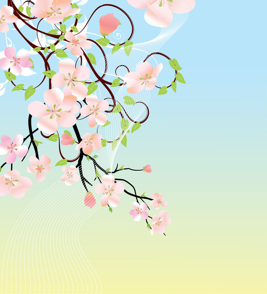flowering cherry branch. vector illustration - Wektor, obraz