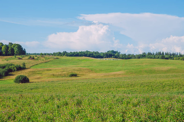 Πόλη Dzerbene, Λετονία. Λιβάδι και μπλε ουρανός με δέντρα. Ταξίδια φωτογραφία 2018. - Φωτογραφία, εικόνα