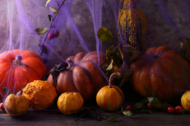 Halloween pumpkins on wood, holiday concept - Foto, Imagem