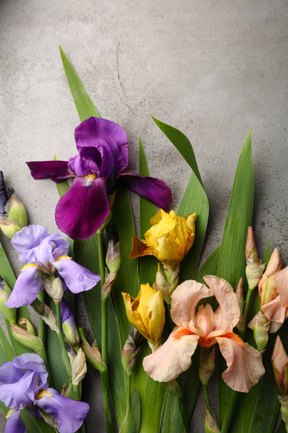 Fresh iris flowers on gray, flat lay - Zdjęcie, obraz