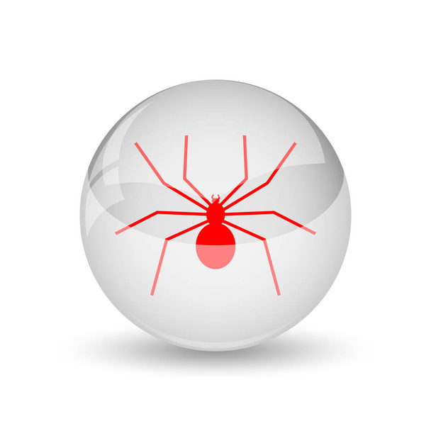 значок паука
 - Фото, изображение