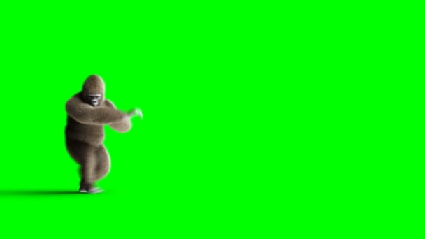 Funny brown gorilla fighting. Super realistic fur and hair. Green screen 4K animation. - Metraje, vídeo