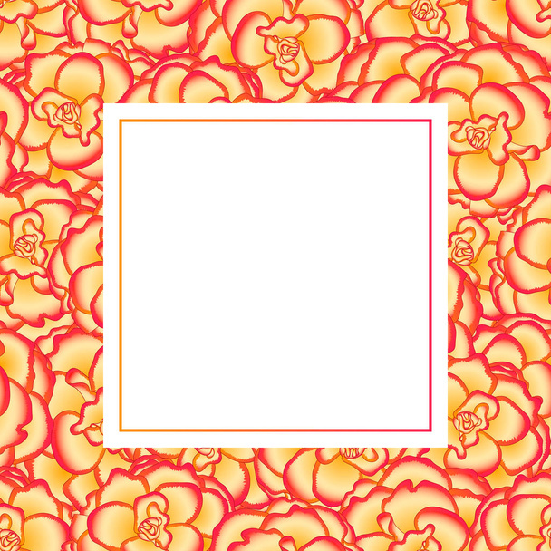 Begonia Flower, Picotee Sunburst Banner Card Border. Ilustração vetorial
. - Vetor, Imagem