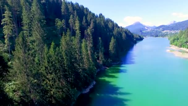 川と緑の森の素晴らしい空撮 - 映像、動画