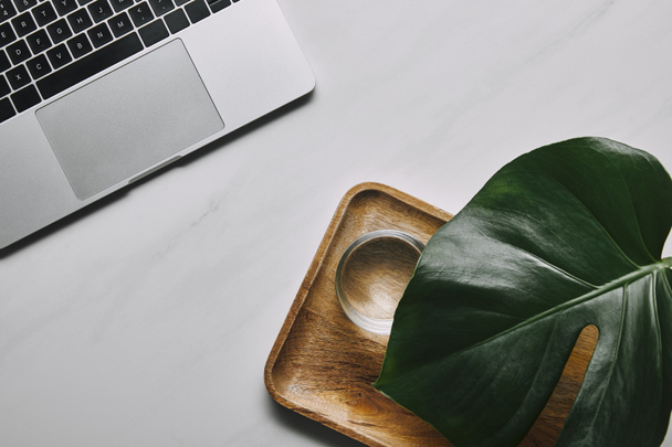 Laptop by wooden tray with water and monstera leaf on white marble background - Fotó, kép